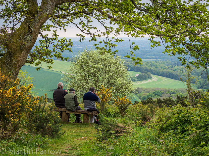 Foggy,-Compo-and-Clegg 
 Three old men resting on a bench on a hill admiring the view across the valley 
 Keywords: East Sussex, King Vale Nature Reserve, Mardens, bench, countryside, hills, last of the summer wine, men, resting, spring, tea, three, trees, view, walk