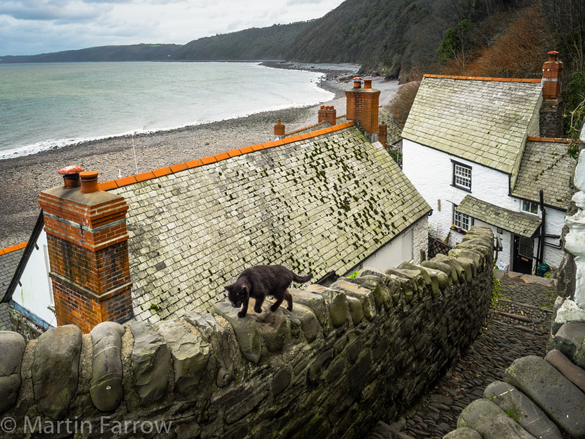 Clovelly-Cat 
 Cat on wall 
 Keywords: Devon, Hartland, North Devon, Clovelly,shore,coast,cat,buildings,houses,beach,cliffs,sea,ocean,water