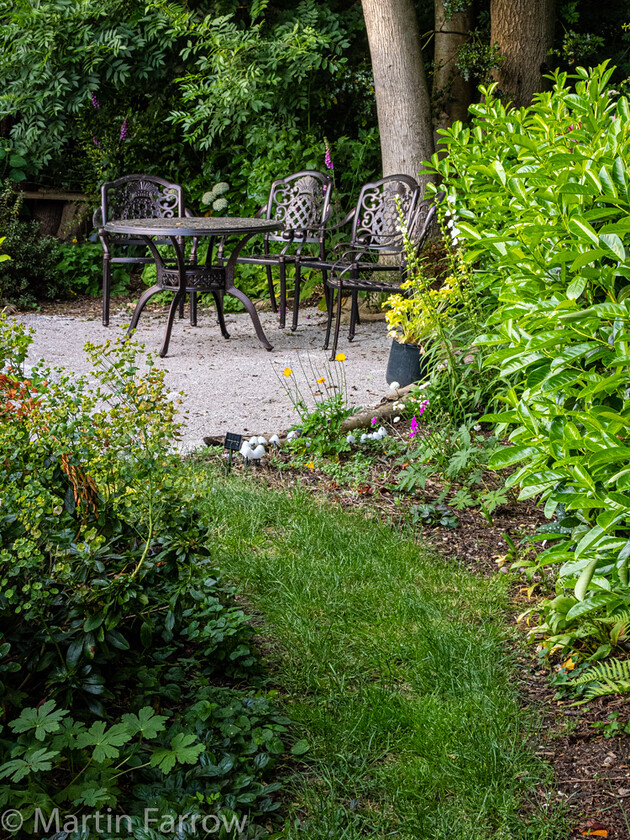 6103356 
 Keywords: Chandlers Ford, Hampshire, Leven Close, garden, outdoors, summer