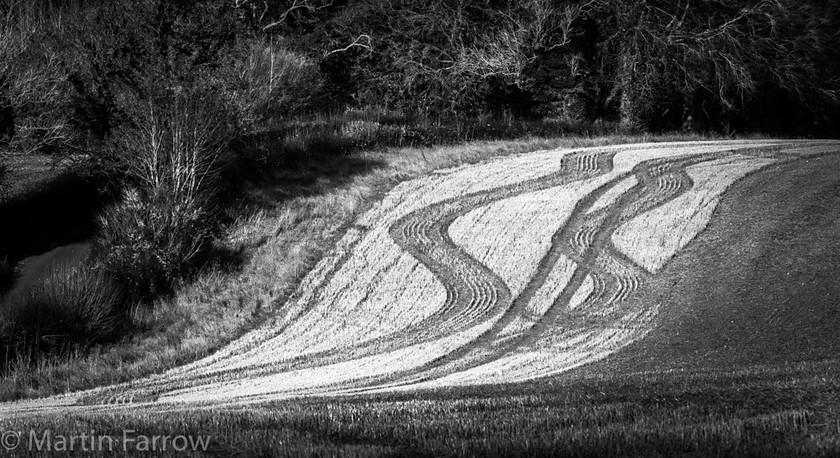 Field-Pattern 
 Diagonal patterns in the edge of a field, monchrome 
 Keywords: art, contrast, countryside, crops, fields, landscape, lines, mono, pattern, spring, tracks, trees, woods, zigzag