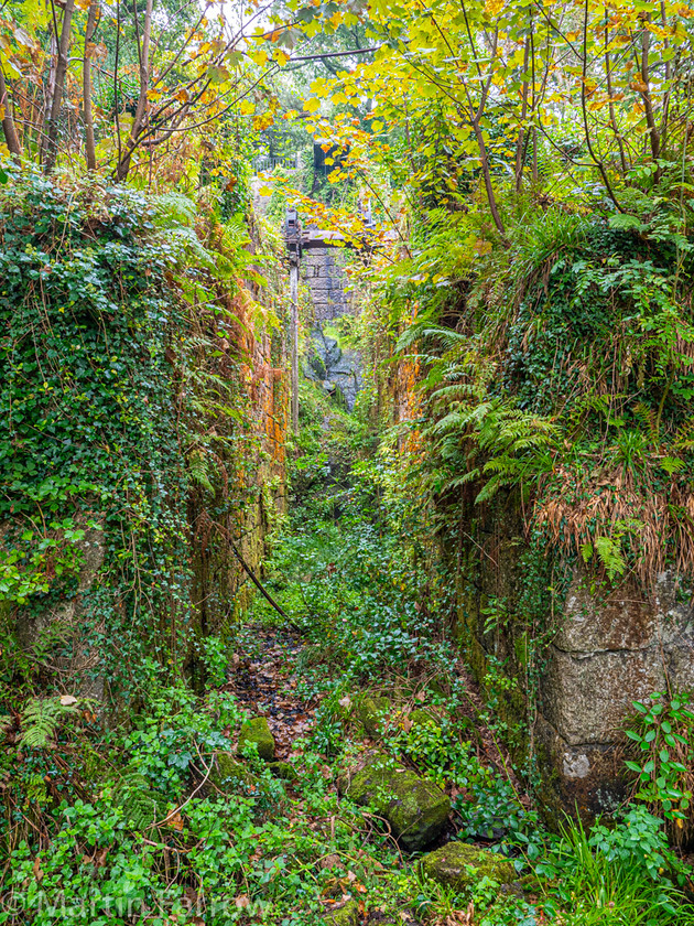 9282293 
 OLYMPUS DIGITAL CAMERA 
 Keywords: Cornwall, Liskeard, Luxulian Valley, autumn, green, shade, wooded, works