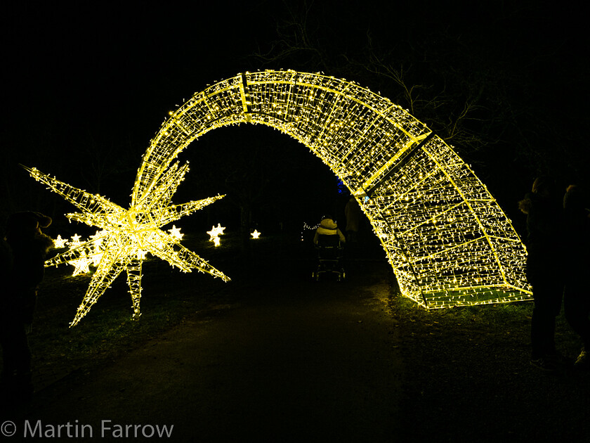 C171433 
 Keywords: Christmas, Hilliers gardens, lights, night, show, winter