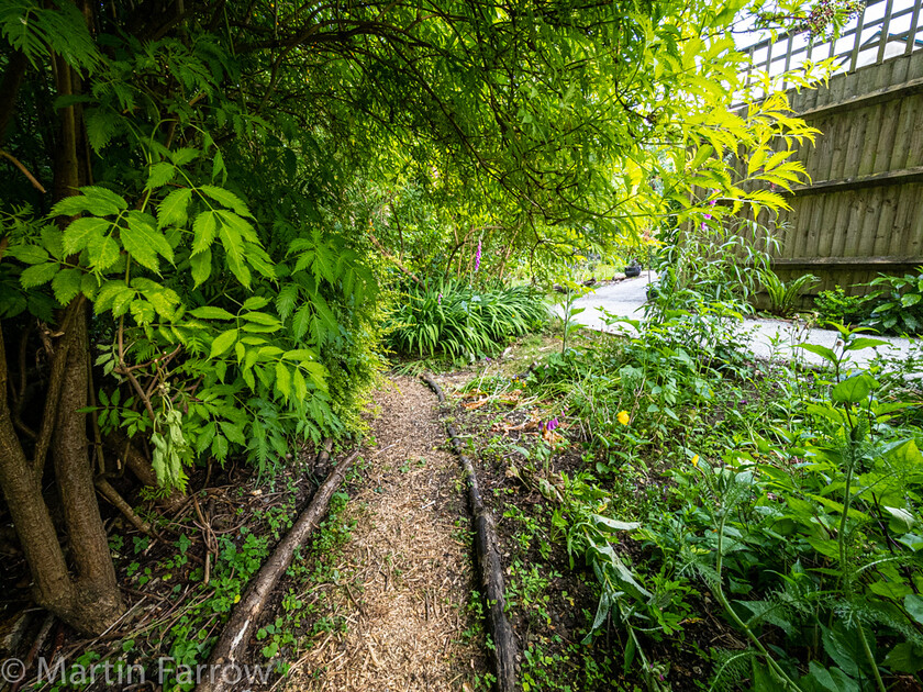 6103334 
 Keywords: Chandlers Ford, Hampshire, Leven Close, garden, outdoors, summer