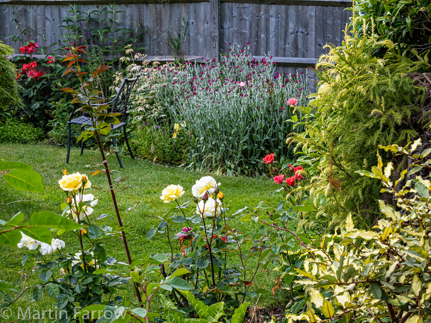 6103352 
 Keywords: Chandlers Ford, Hampshire, Leven Close, garden, outdoors, summer