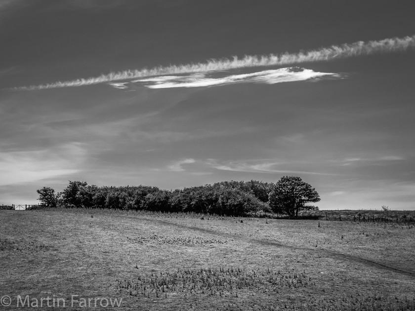 Cloud-Reflection 
 White cloud and vapour trail reflecting the shale of hedgerow and path in field, monochrome 
 Keywords: cloud, coast to coast, counteyside, field, gate, hedgerow, monochrome, outdoor, path, summer, trail, trees