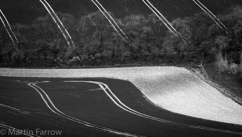 Field-Tracks 
 Diagonal tracks in fields 
 Keywords: art, countryside, crops, fields, landscape, lines, mono, pattern, spring, tracks, trees, woods