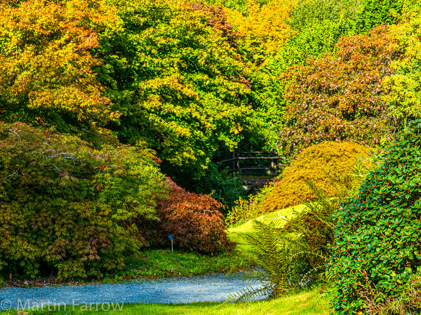 1100888 
 Keywords: Cornwall, Devon, Liskeard, RHS, The Garden House, autumn, gardens, sun