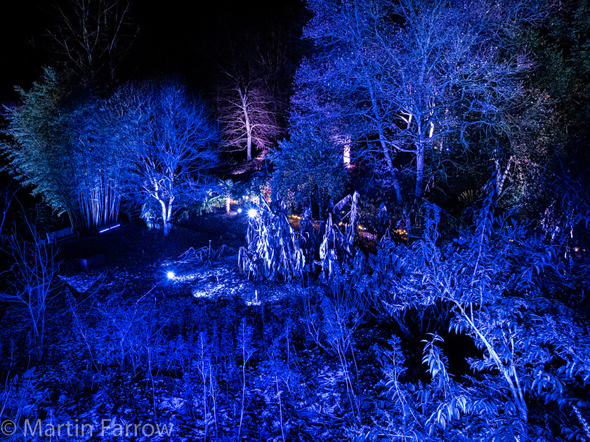 C171557 
 Keywords: Christmas, Hilliers gardens, lights, night, show, winter