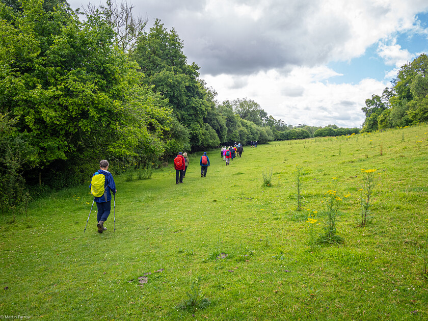 7067238 
 Keywords: 70th anniversary, Celebration, Cheriton, Flowr Pots, Ramblers, countryside, outdoors, party, summer, walk