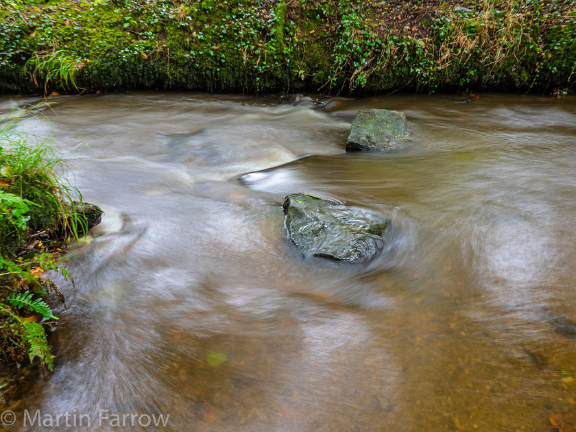 9302489 
 OLYMPUS DIGITAL CAMERA 
 Keywords: Cornwall, Liskeard, autumn, countryside, rain, walk