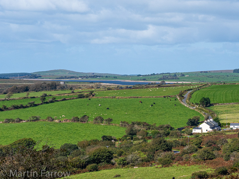 9262177 
 OLYMPUS DIGITAL CAMERA 
 Keywords: Cornwall, Liskeard, St Neot, Two Valleys Walk, autumn