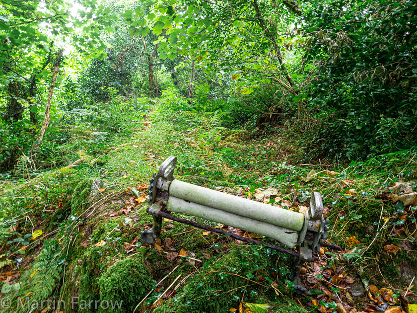 9282309 
 OLYMPUS DIGITAL CAMERA 
 Keywords: Cornwall, Liskeard, Luxulian Valley, autumn, green, shade, wooded, works