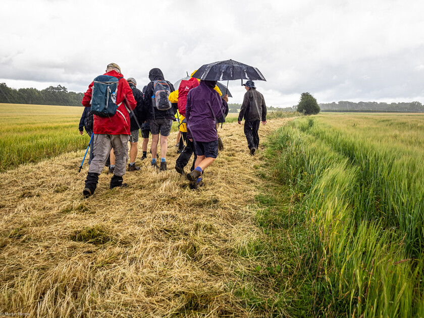 7067229 
 Keywords: 70th anniversary, Celebration, Cheriton, Flowr Pots, Ramblers, countryside, outdoors, party, summer, walk