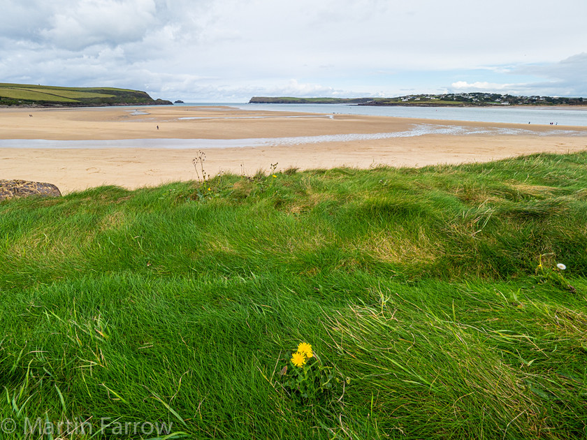 A012559 
 OLYMPUS DIGITAL CAMERA 
 Keywords: Cornwall, Liskeard, Padstow, autumn, coast, estury, river, sand, shore, sun