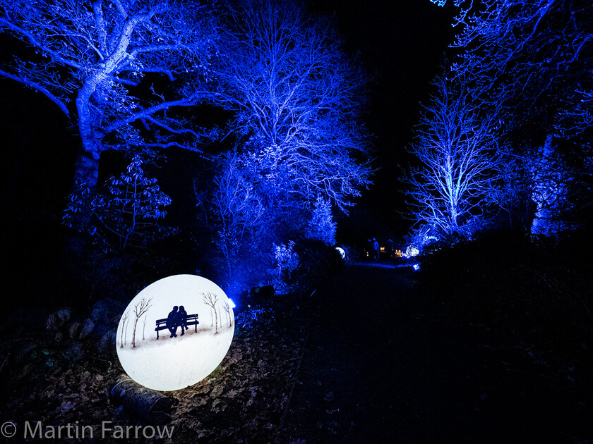 C171491 
 Keywords: Christmas, Hilliers gardens, lights, night, show, winter