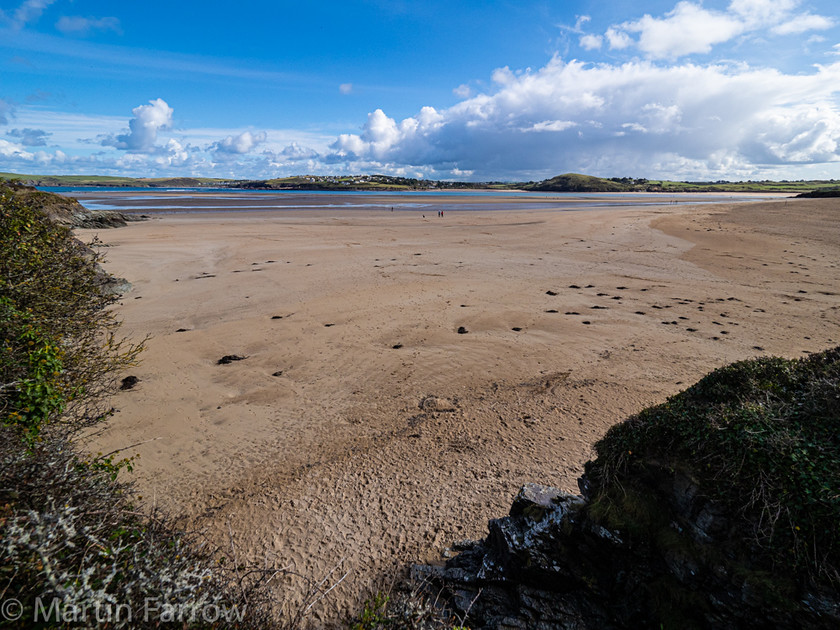 A012529 
 OLYMPUS DIGITAL CAMERA 
 Keywords: Cornwall, Liskeard, Padstow, autumn, coast, estury, river, sand, shore, sun