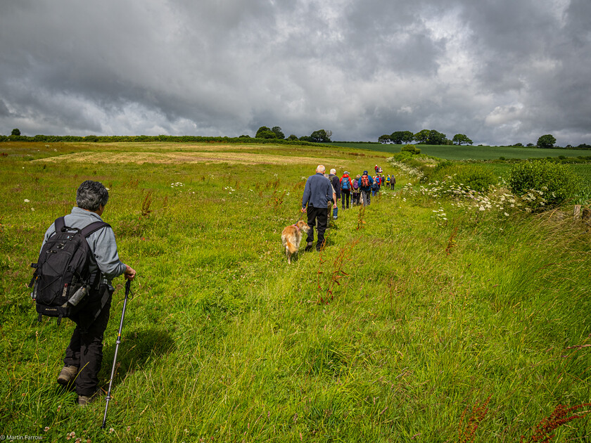 7067180 
 Keywords: 70th anniversary, Celebration, Cheriton, Flowr Pots, Ramblers, countryside, outdoors, party, summer, walk