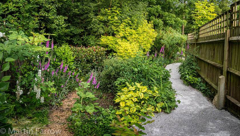 6103326-Pano 
 Keywords: Chandlers Ford, Hampshire, Leven Close, garden, outdoors, summer