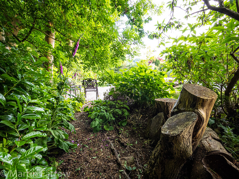 6103336 
 Keywords: Chandlers Ford, Hampshire, Leven Close, garden, outdoors, summer