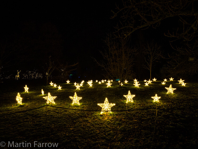 C171439 
 Keywords: Christmas, Hilliers gardens, lights, night, show, winter