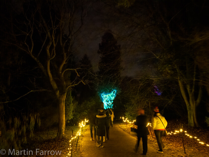 C171462-Edit 
 Keywords: Christmas, Hilliers gardens, lights, night, show, winter