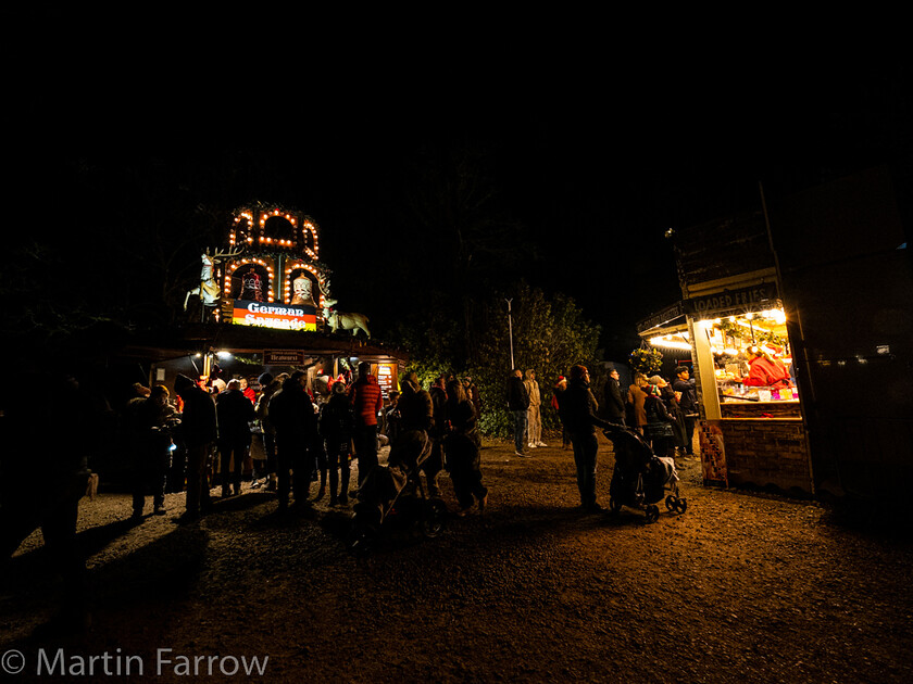 C171546 
 Keywords: Christmas, Hilliers gardens, lights, night, show, winter