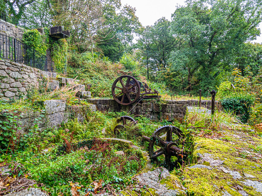 9282291 
 OLYMPUS DIGITAL CAMERA 
 Keywords: Cornwall, Liskeard, Luxulian Valley, autumn, green, shade, wooded, works